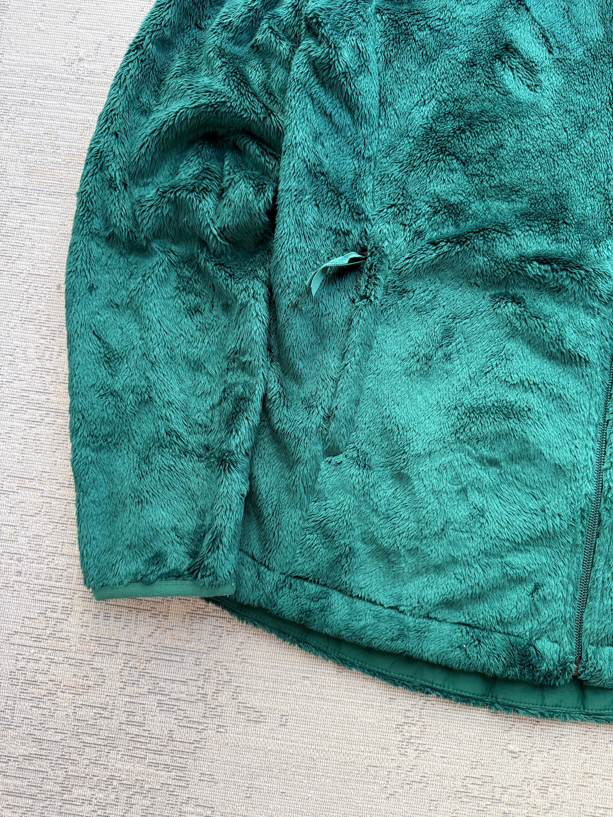 The North Face High-Pile Fleece Jacket (Women’s M)