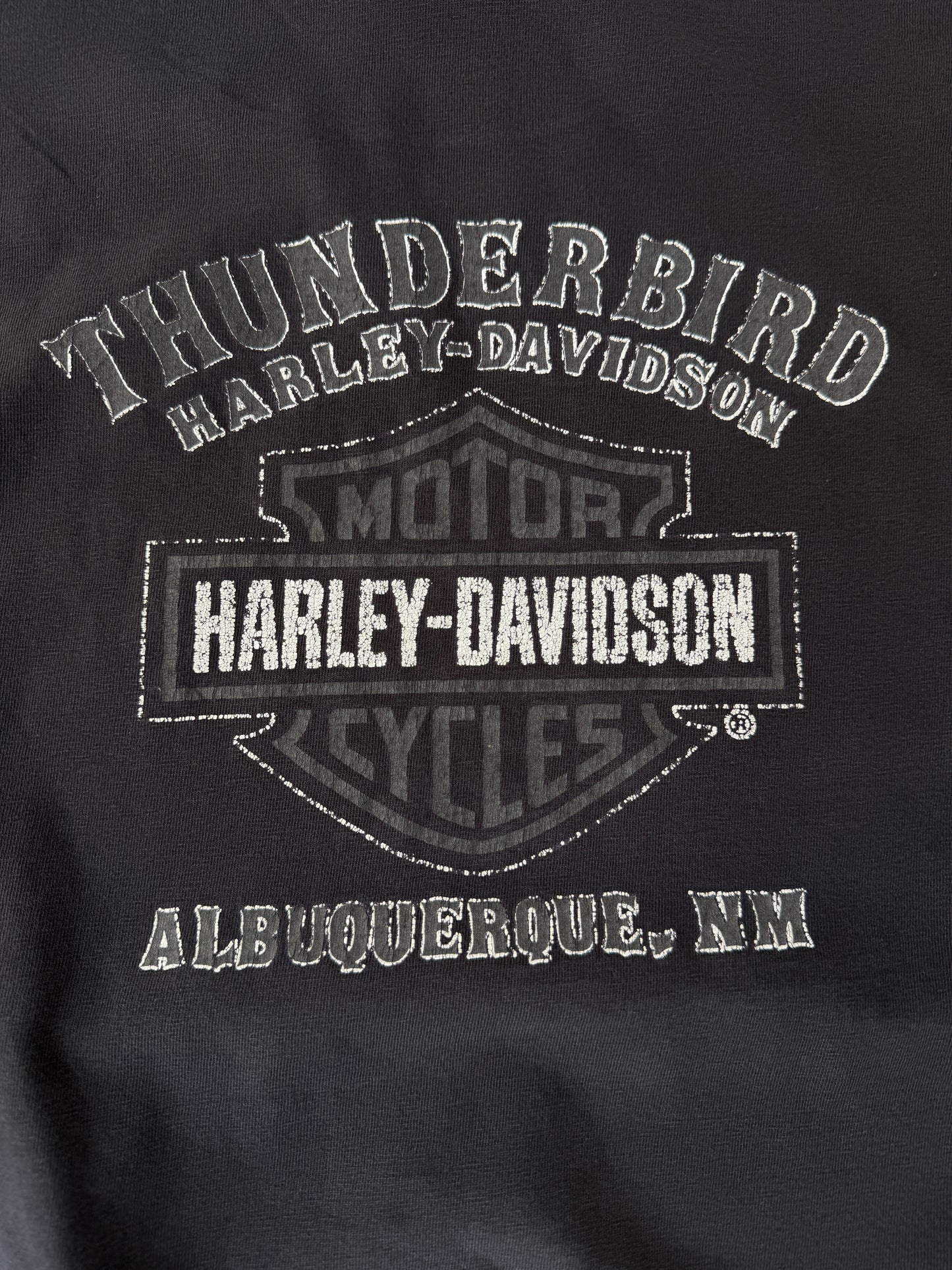 Harley Davidson Thunderbird Oversized Vintage Tee (XL)