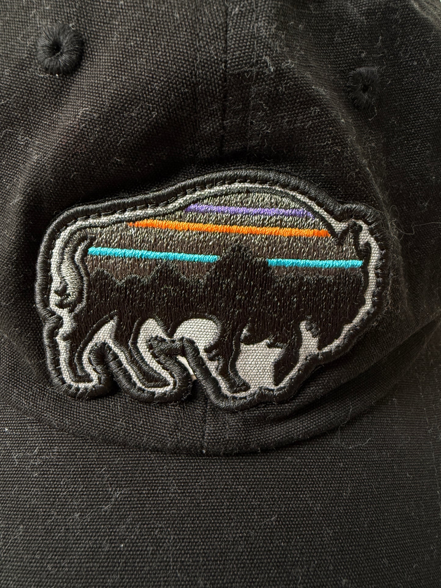 Patagonia Dead Cap (OneSize)
