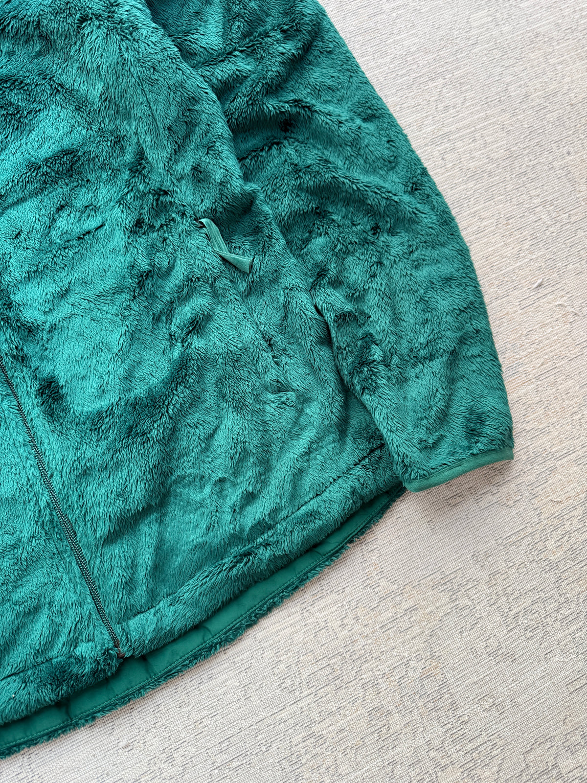 The North Face High-Pile Fleece Jacket (Women’s M)