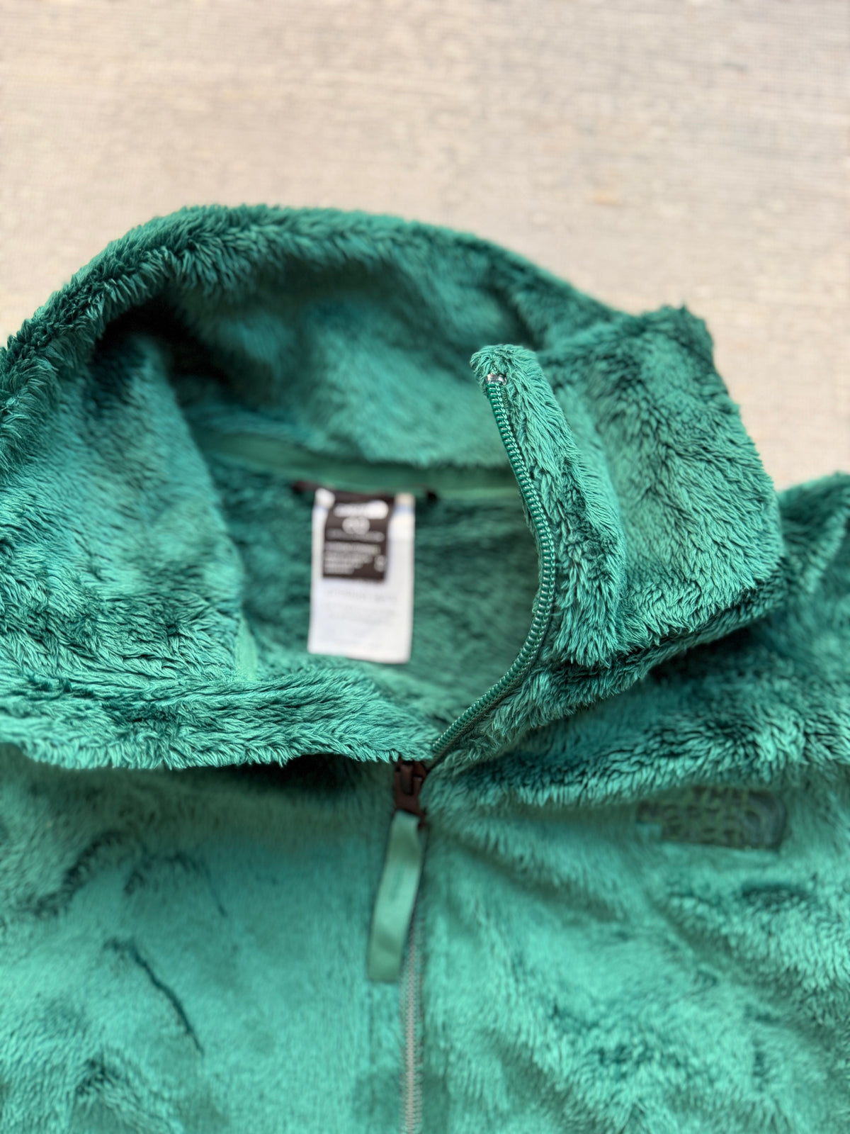 The North Face High-Pile Fleece Jacket (Women’s M)