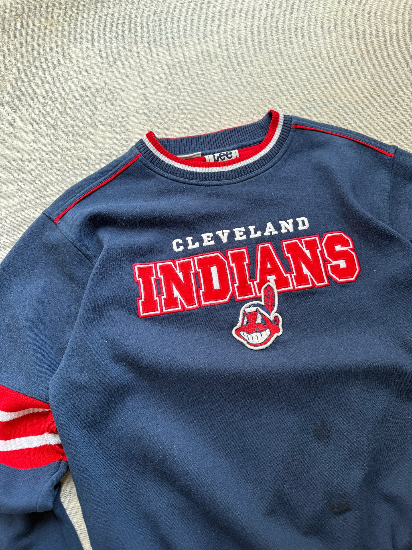 Lee Sport Vintage USA Sweater (M)