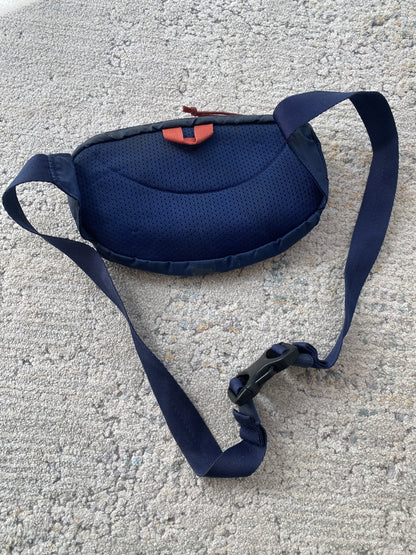 Patagonia Mini Waist Bag (OS)