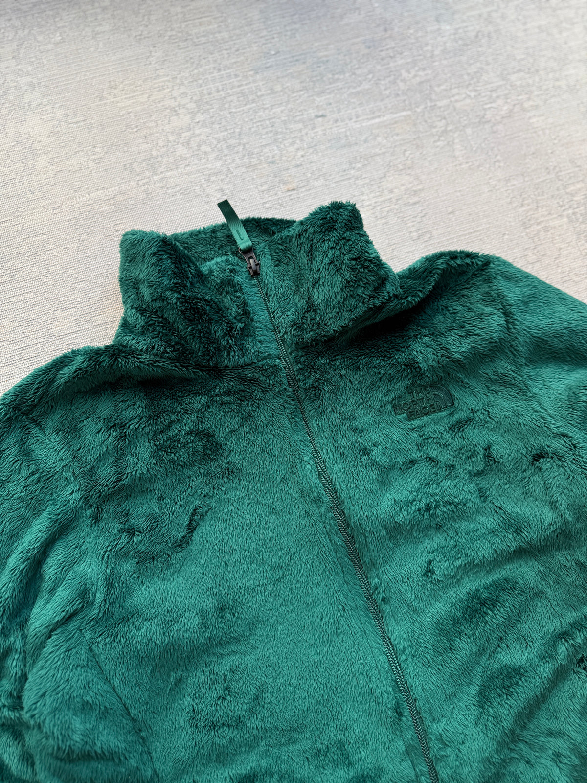 The North Face High-Pile Fleece Jacket (Women’s M)