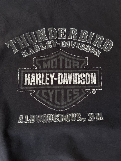 Harley Davidson Thunderbird Oversized Vintage Tee (XL)
